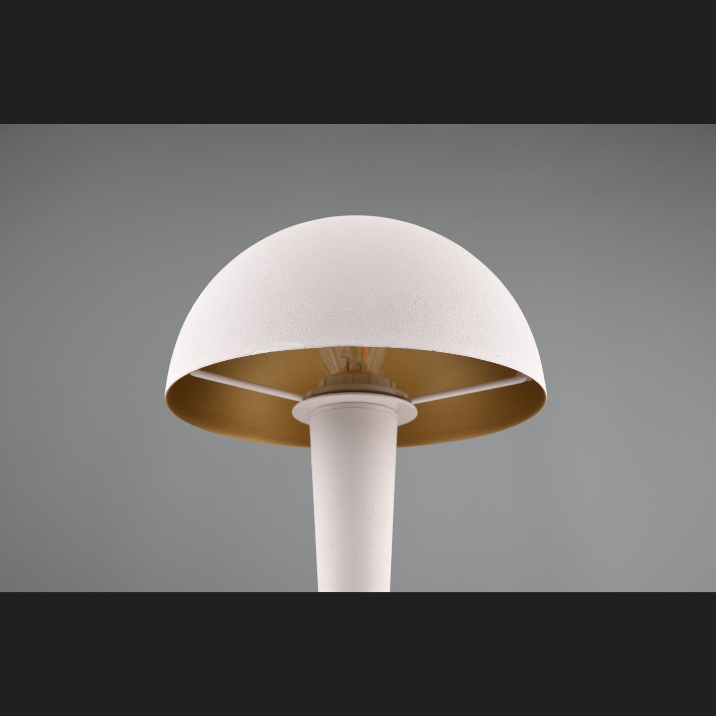 Canaria - Table lamp - White Brushed - Reality