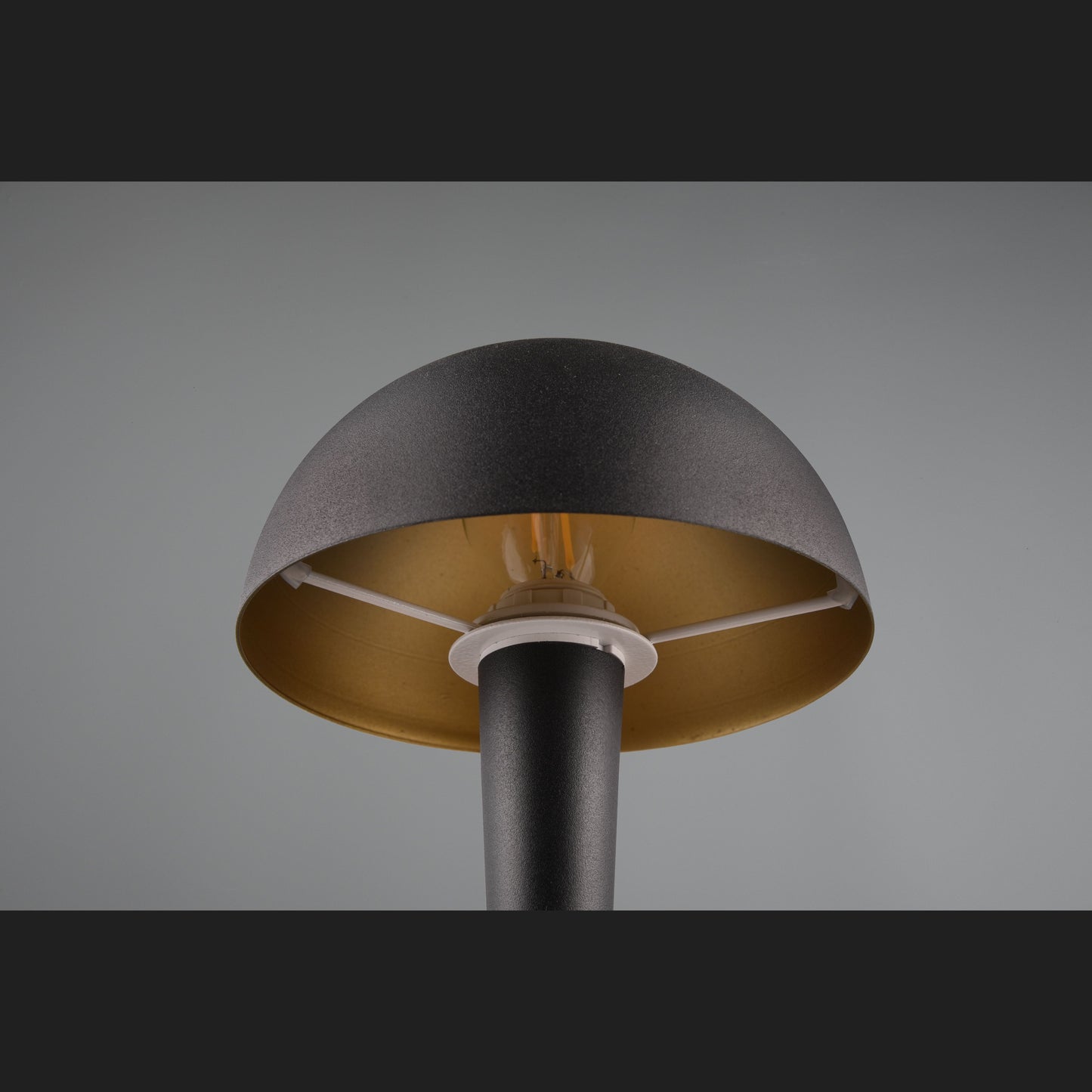 Canaria - Black Gold - Trio - R59561180