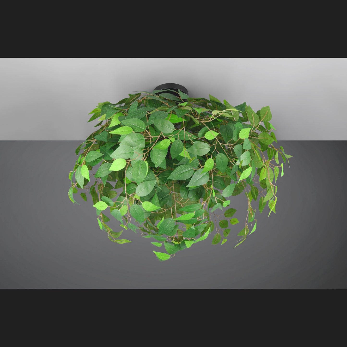 Leavy - Ceiling Lamp - Green - Reality - R60463015