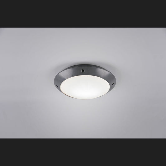 CAMARO Ceiling lamp (A) - Anthracite
