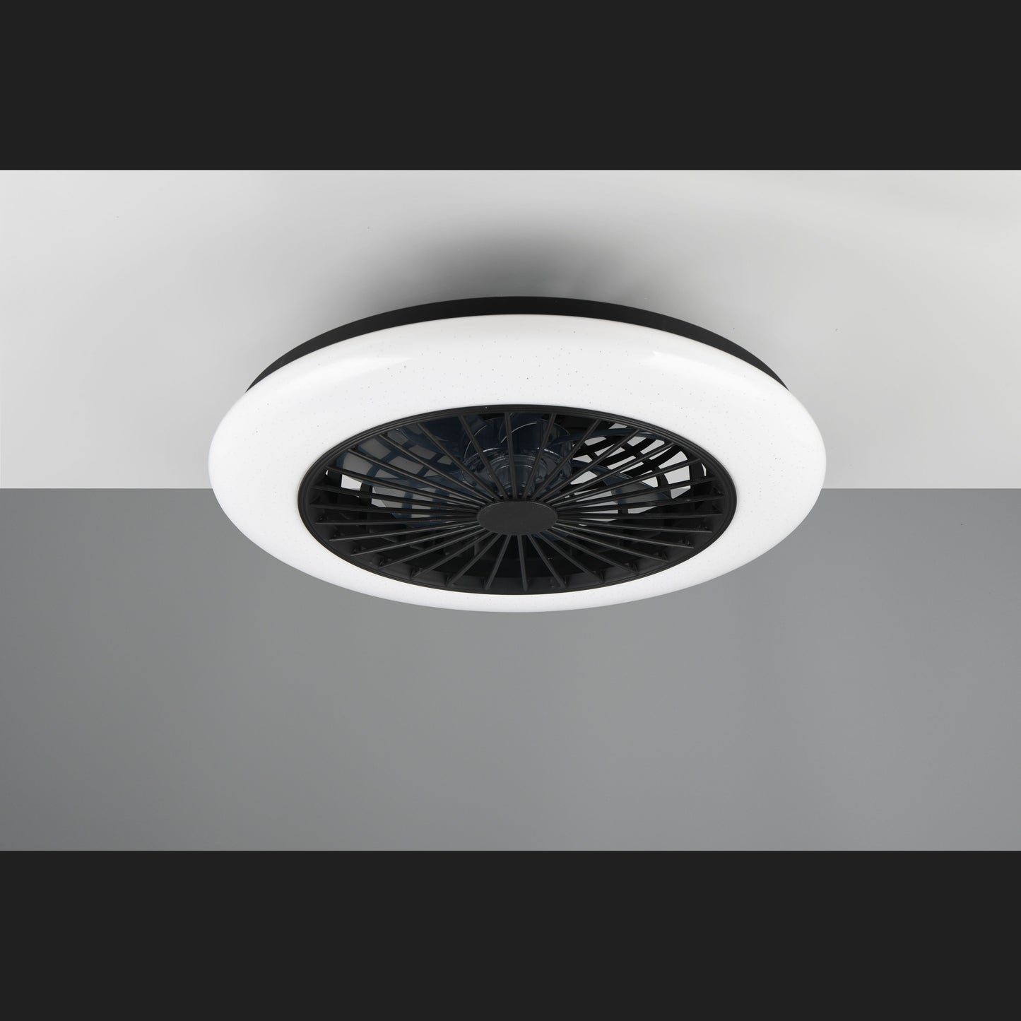 Stralsund - Fan - Black Matt - Reality