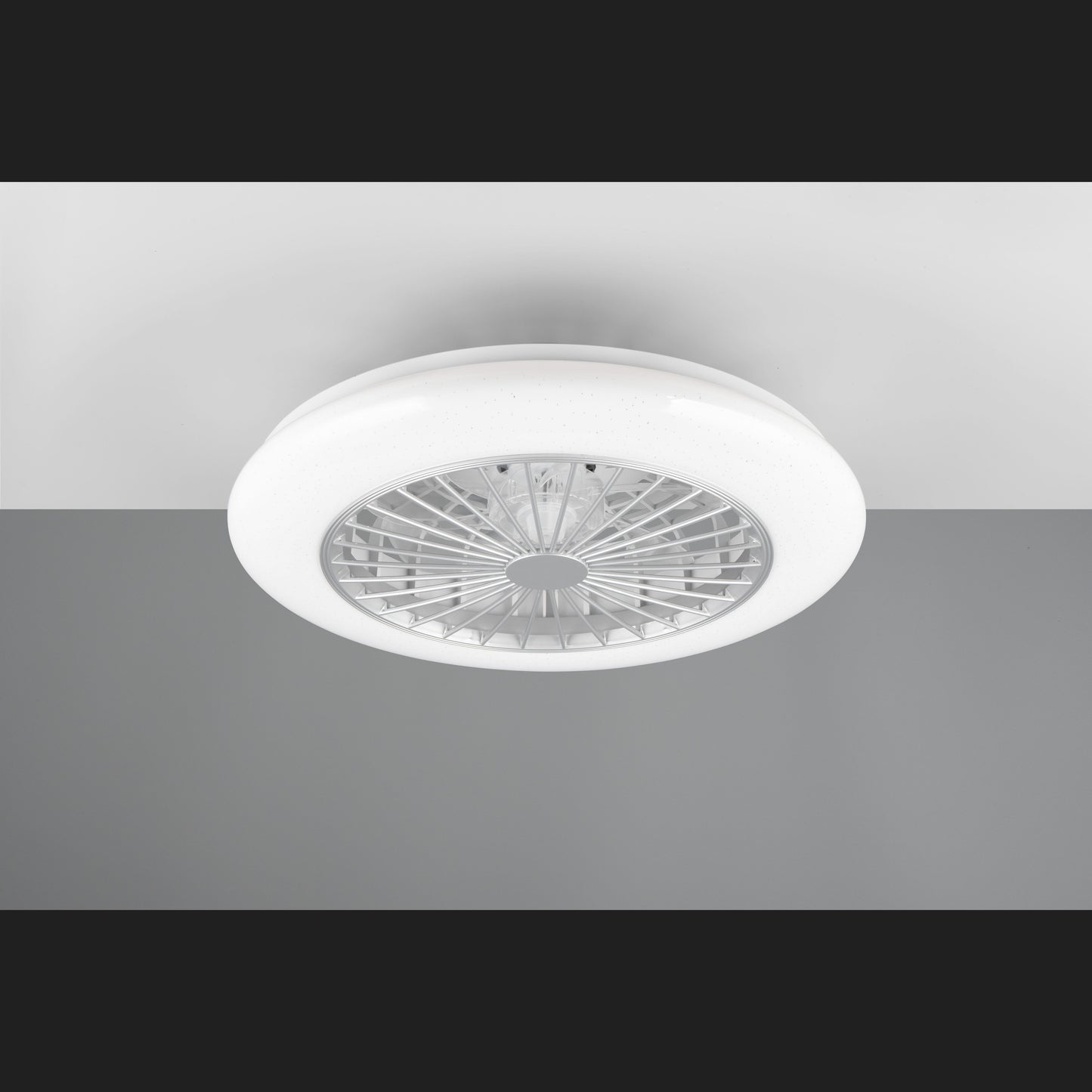 Stralsund - Fan - Titan - Reality