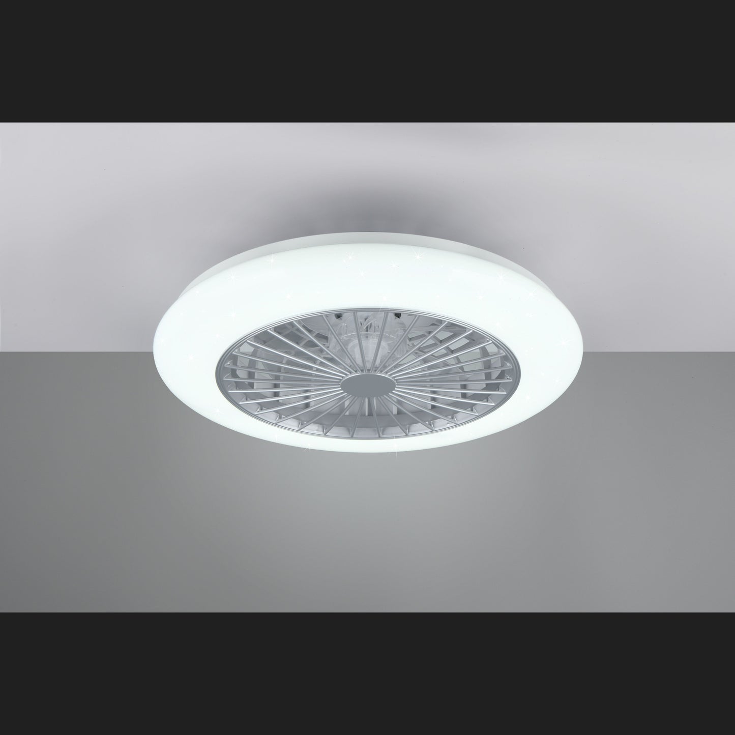 Stralsund - Fan - Titan - Reality