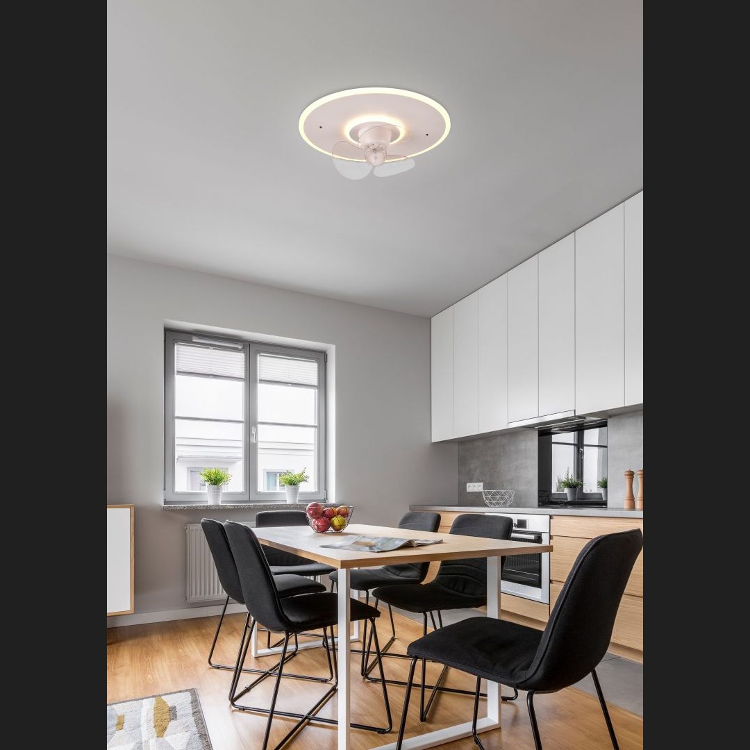 Nybro - Fan - White Matt - Reality