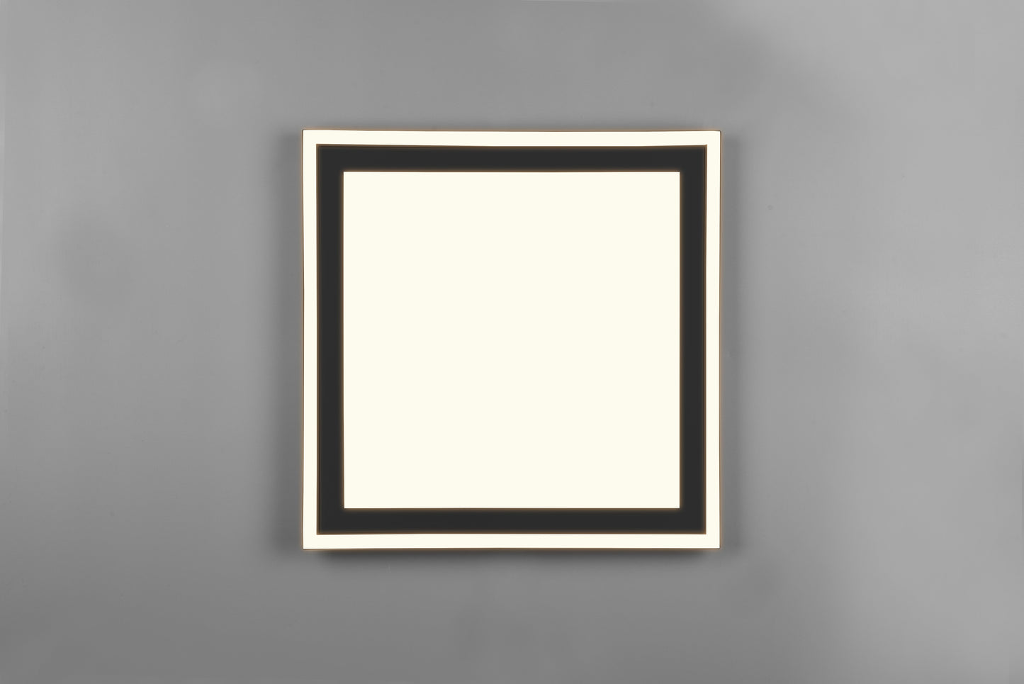 Carus - Ceiling lamp - Black Matt - Reality