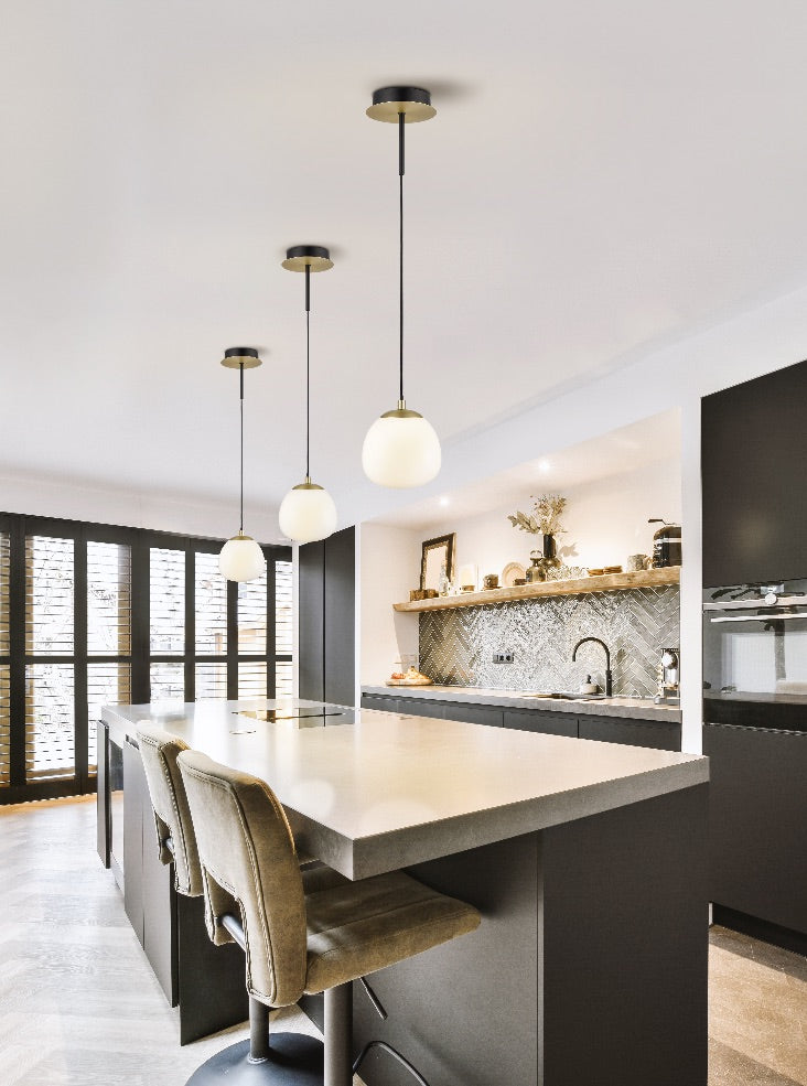Vermeer 1lt Pendant