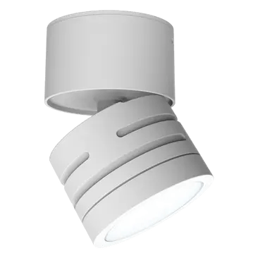 Reef Adjustable Downlight White
