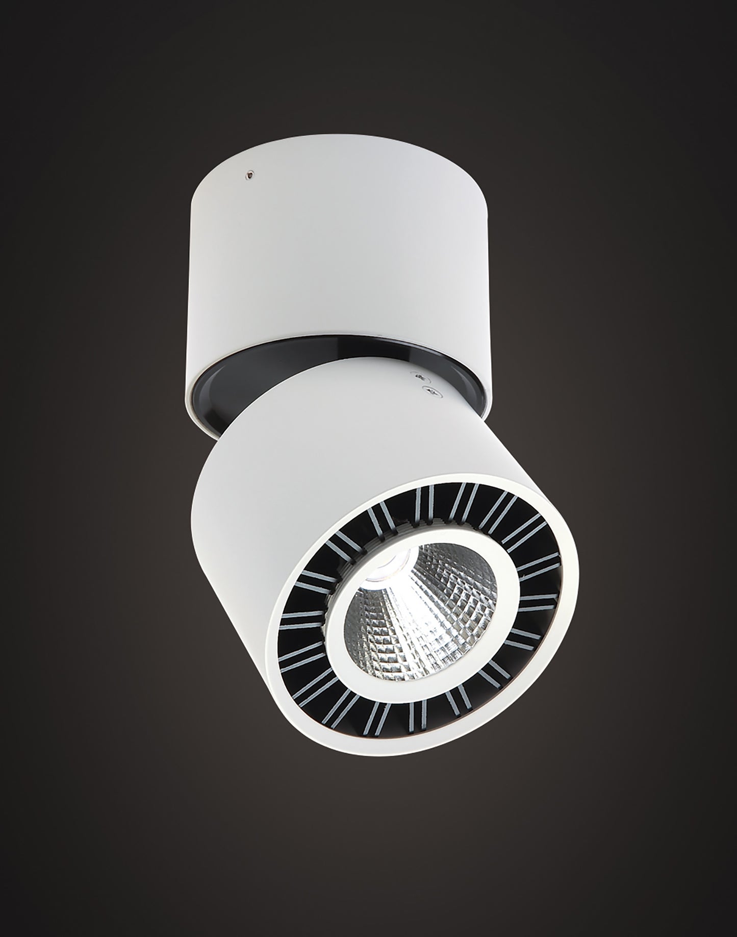 Columbretes Spotlight 8.5cm Round 12W LED 3000K, 1040lm, Matt White, 3yrs Warranty by Mantra