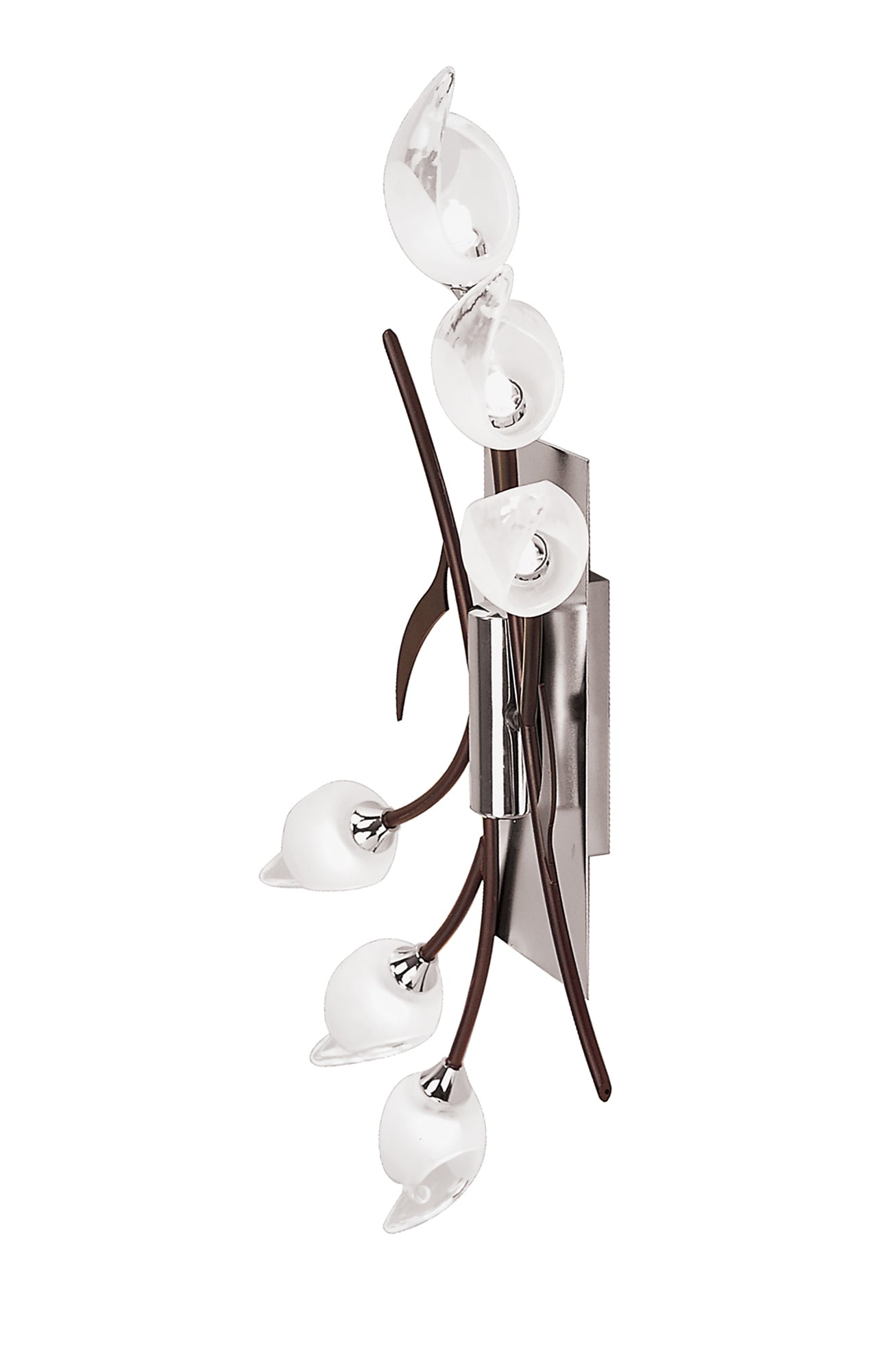 Holland Ceiling/Wall Switched 6 Light G9, Polished Chrome/Wenge by Mantra