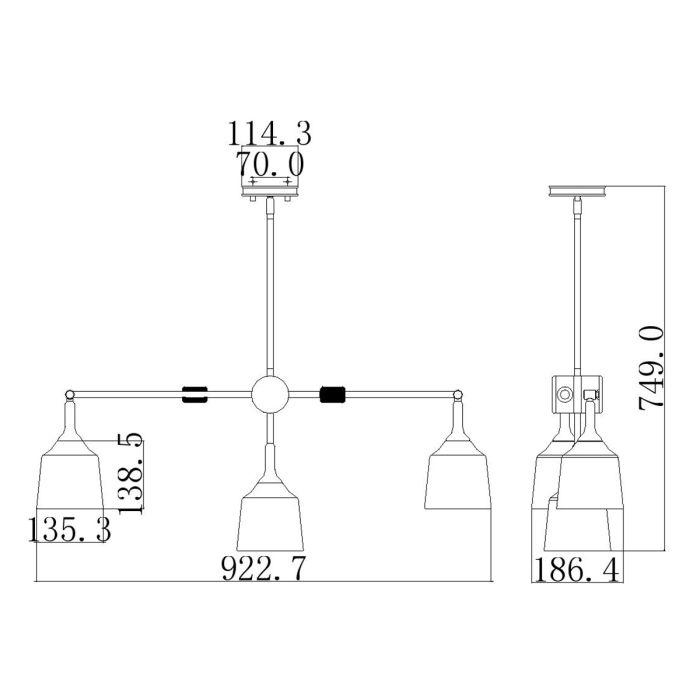 Danika 3 Light Linear Chandelier - White