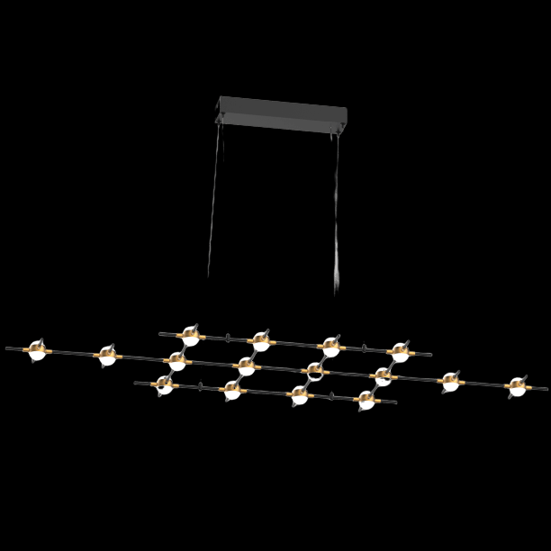 Molecular 16 Light Pendant (Black and Gold) Model G - MD18001067-16GBG