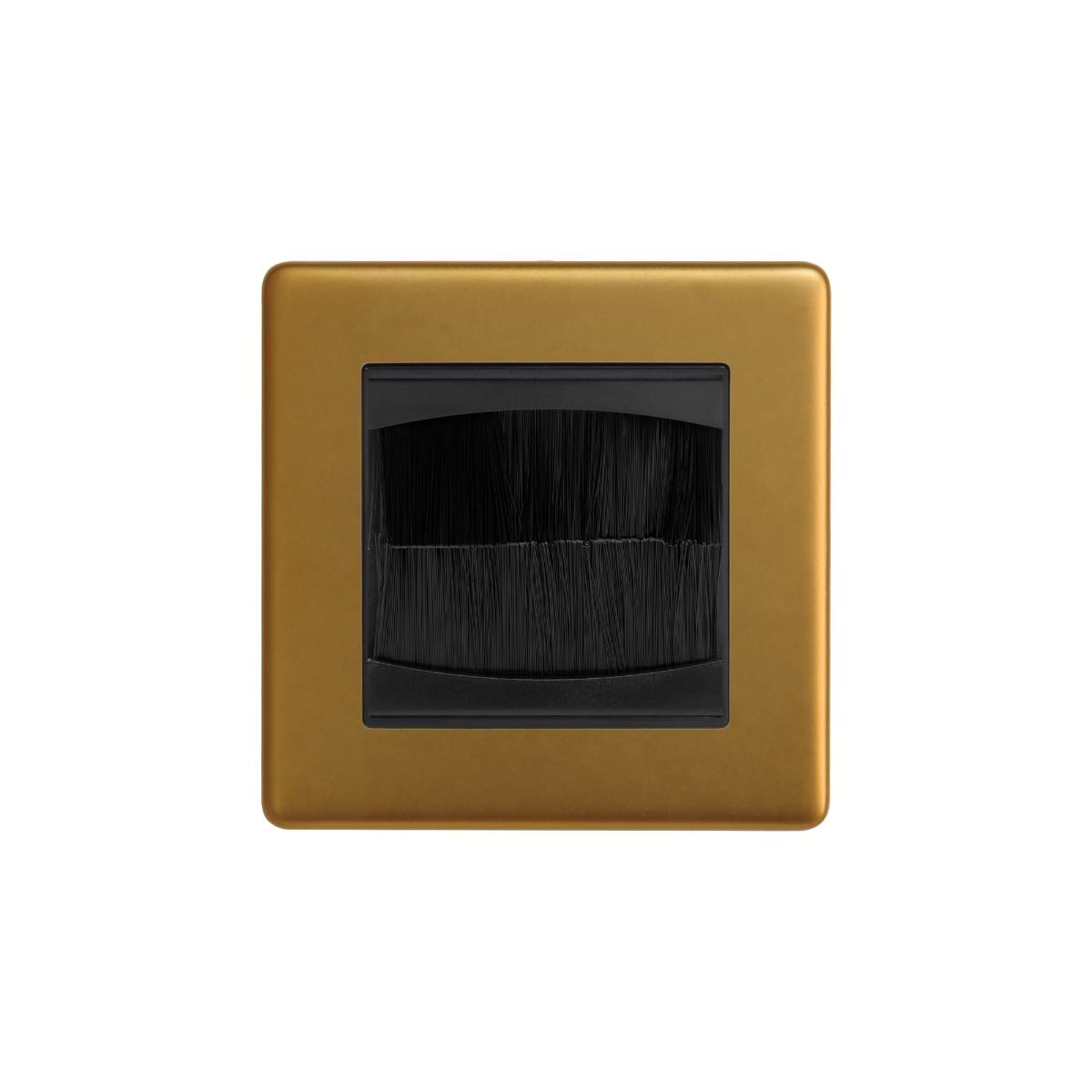 The Sloane Collection Antique Gold 1 Gang 2 Module Brush Plate