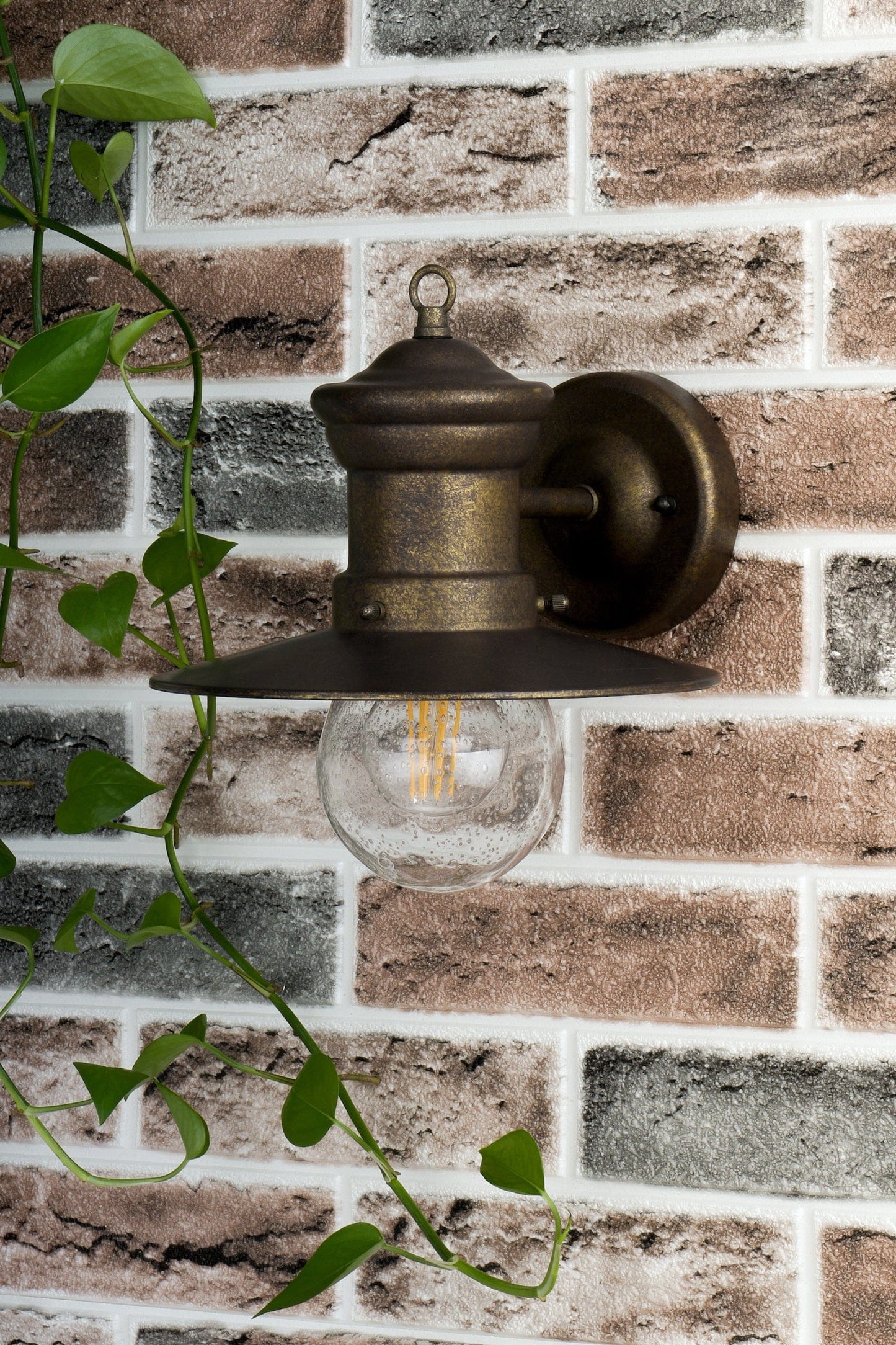 dar lighting Sedgewick Outdoor Wall Light Bronze Glass IP44 SED1529