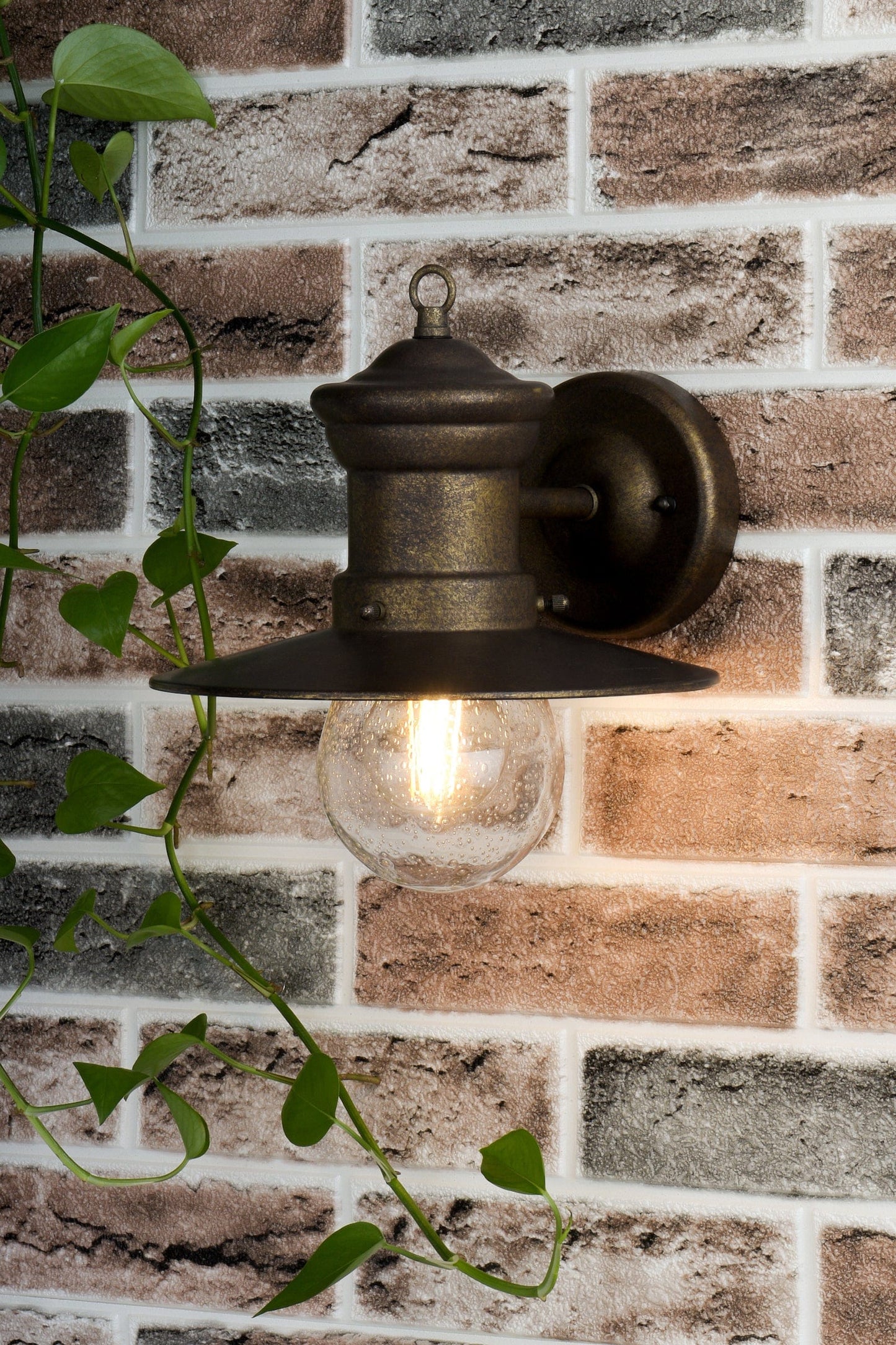 dar lighting Sedgewick Outdoor Wall Light Bronze Glass IP44 SED1529