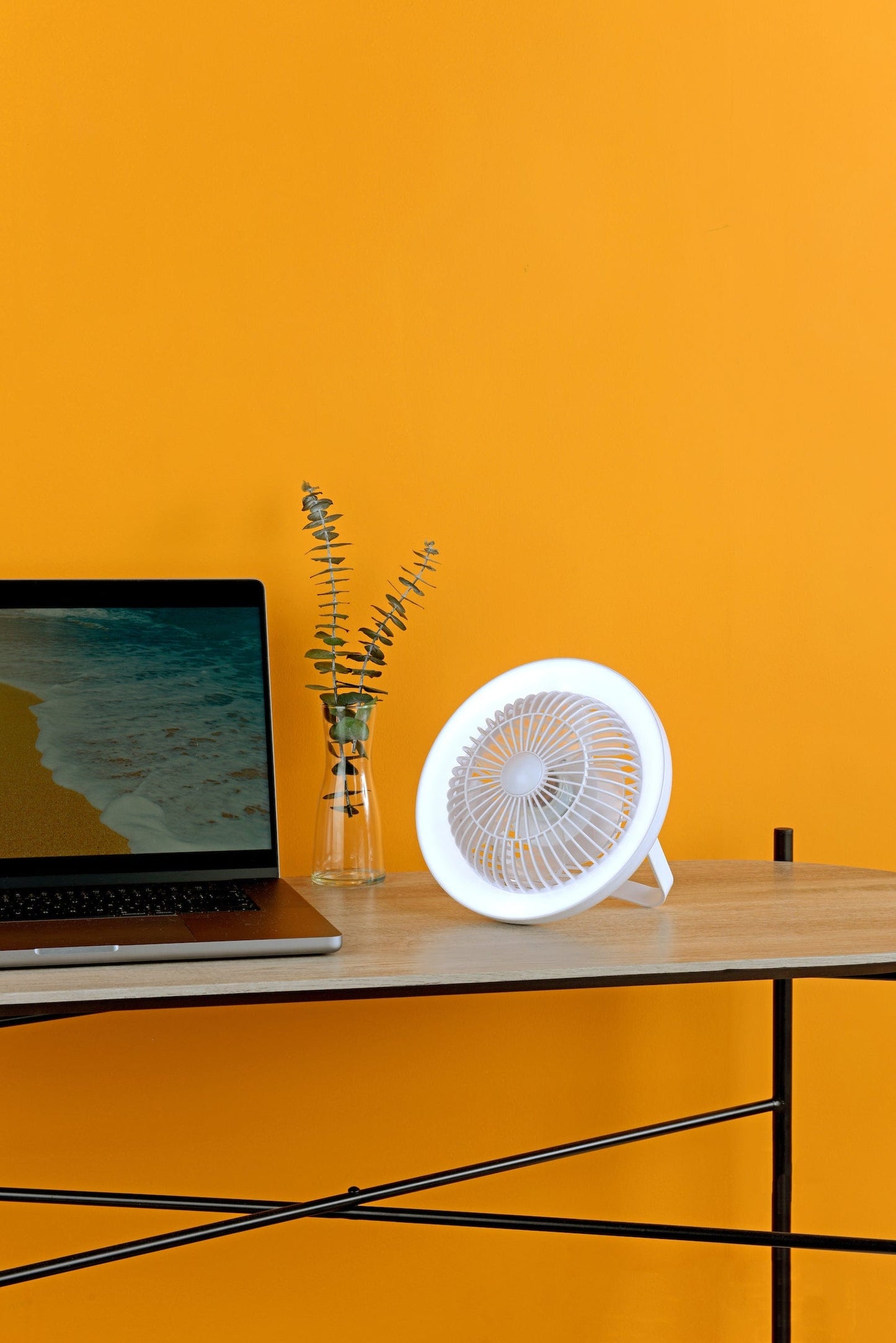 dar lighting Turbo Desk Fan With Lamp White LED TUR412