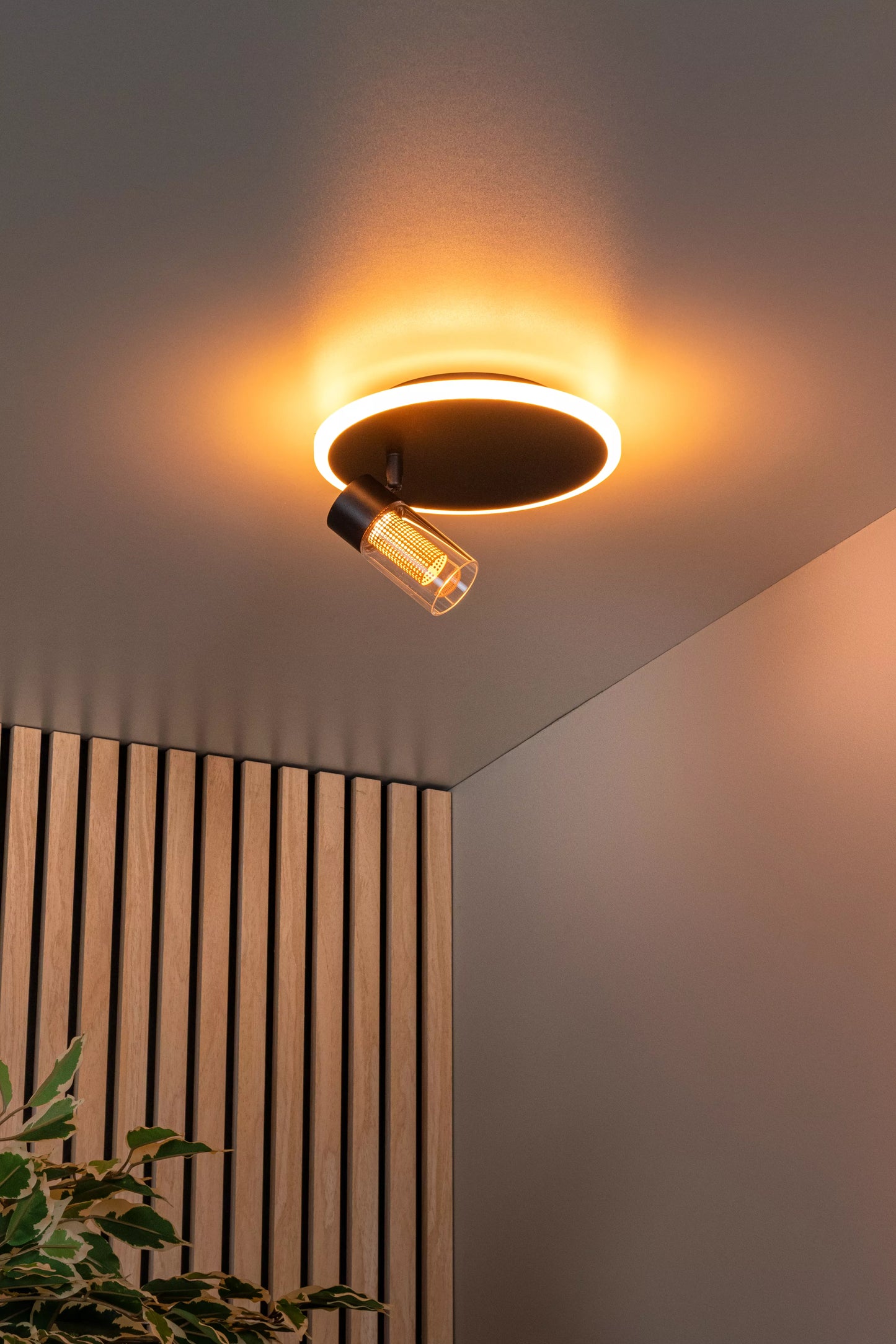 Lucide EVERINA - Flush ceiling light - Ø 23 cm - LED Dim. - CCT - 2200K/6500K - Black | Essential