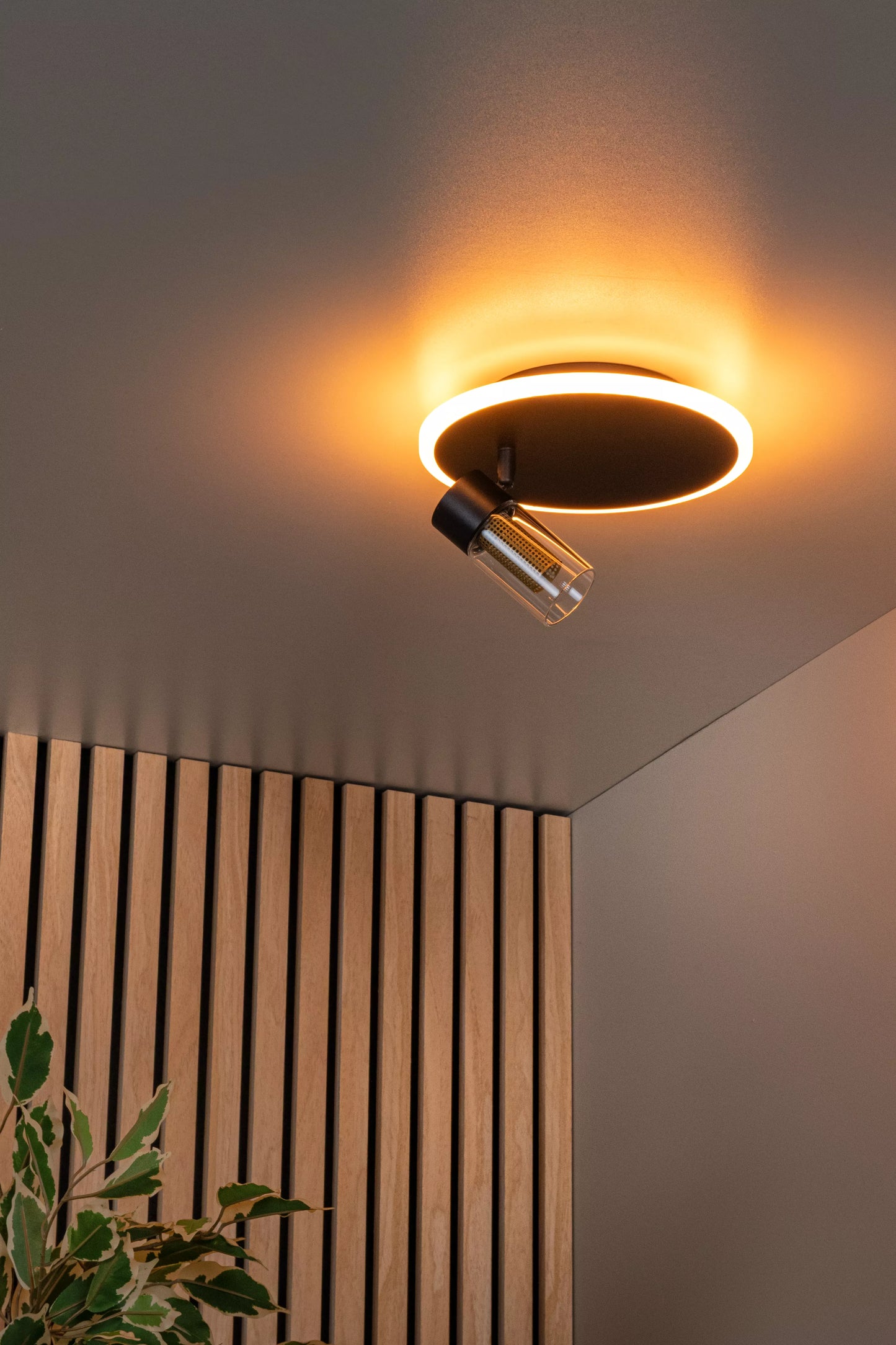 Lucide EVERINA - Flush ceiling light - Ø 23 cm - LED Dim. - CCT - 2200K/6500K - Black | Essential