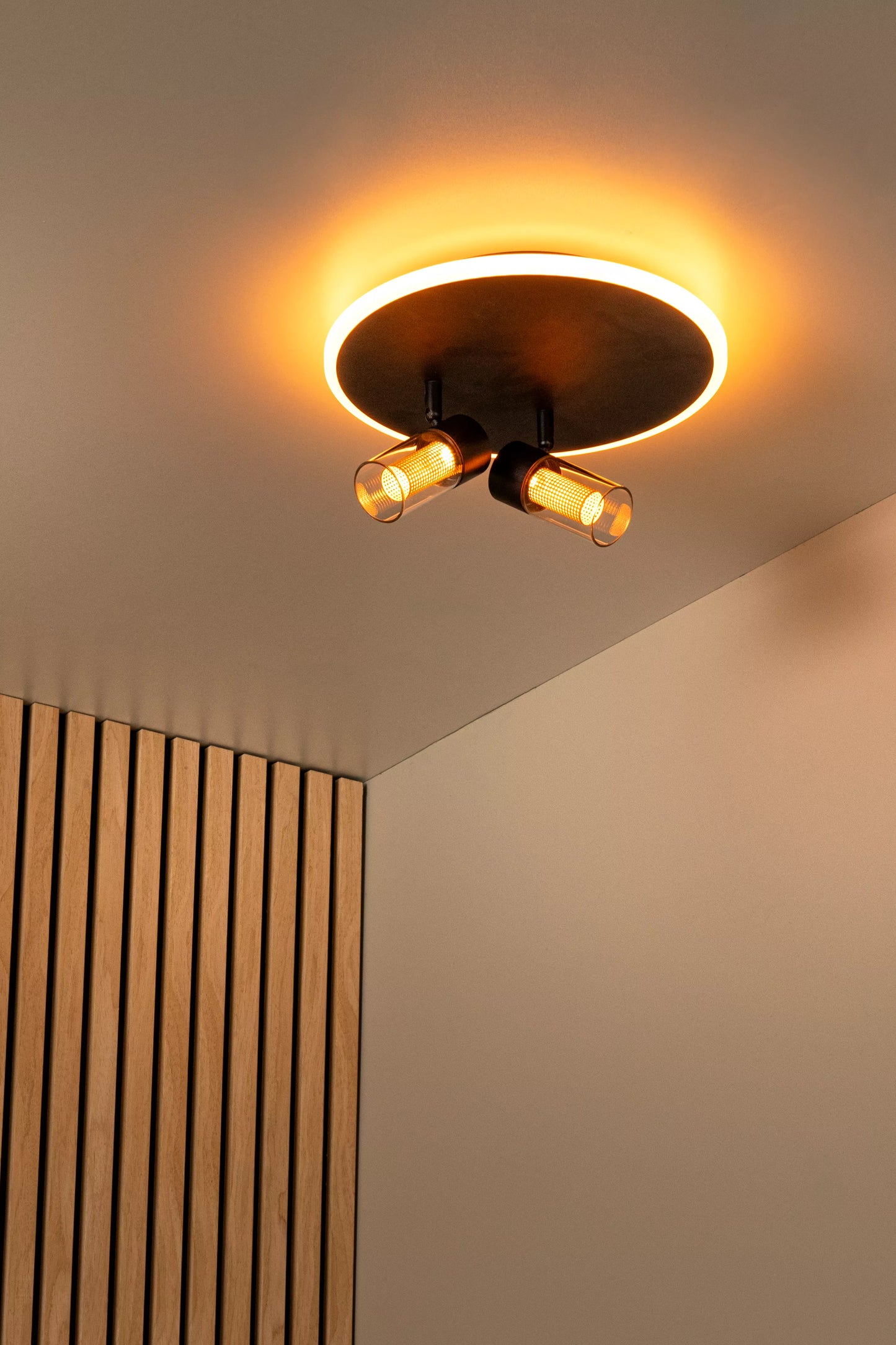 Lucide EVERINA - Flush ceiling light - Ø 30 cm - LED Dim. - CCT - 2200K/6500K - Black | Essential