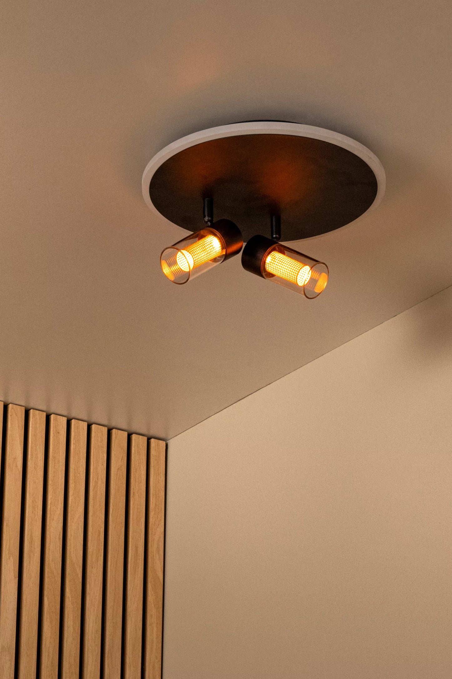 Lucide EVERINA - Flush ceiling light - Ø 30 cm - LED Dim. - CCT - 2200K/6500K - Black | Essential