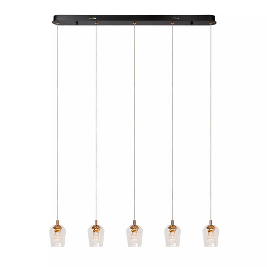 Lucide BERLIANE - Pendant light - LED Dim. - 5x4W 2700K - With replaceable LED module - Transparant | Essential