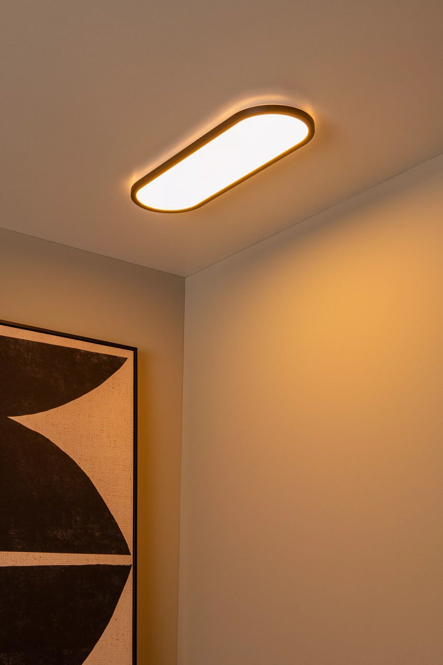 Lucide ELLY - Flush ceiling light - LED Dim. - CCT - 1x24W 2700K/4000K - Opal | Essential