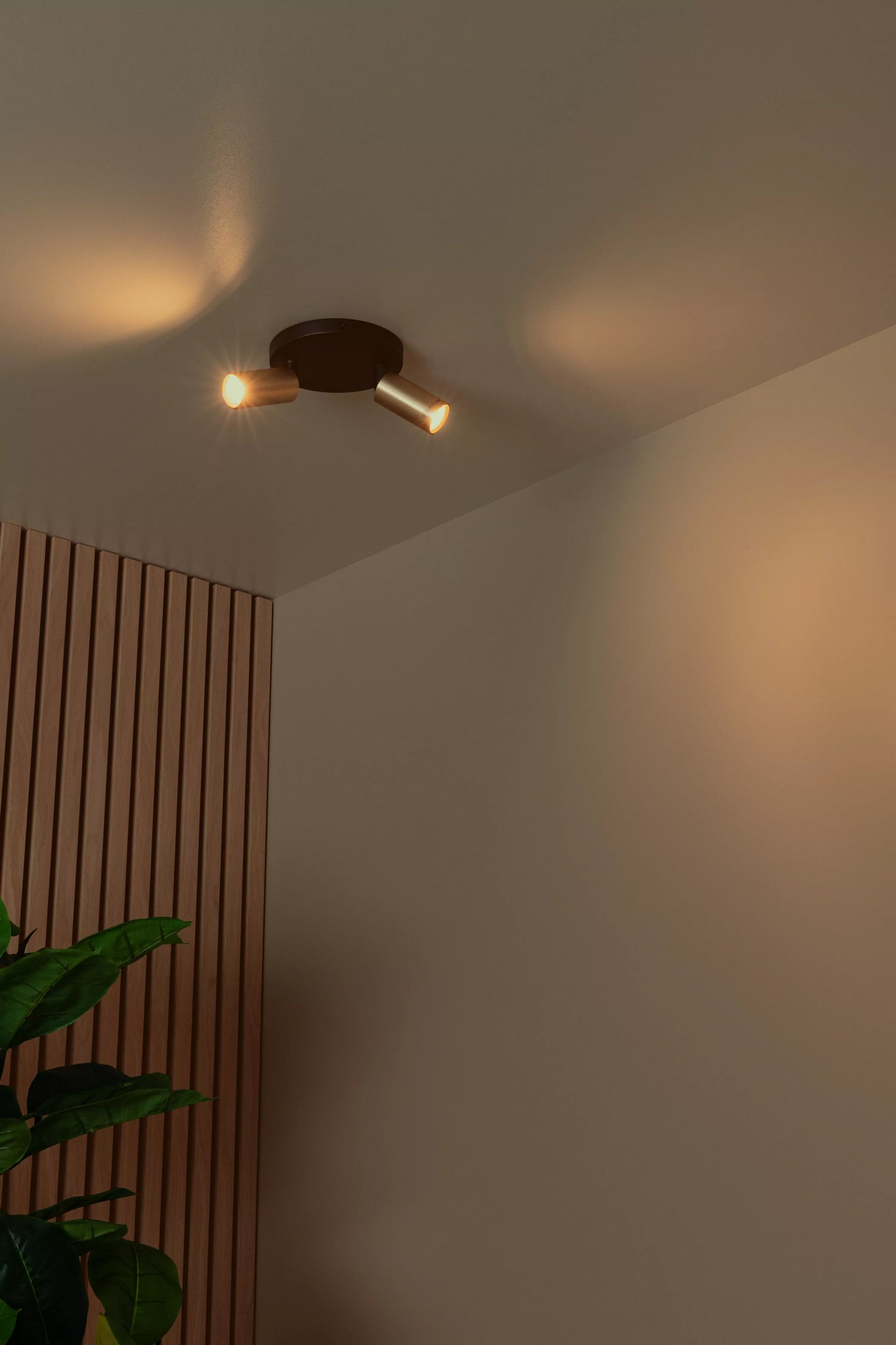 Lucide RITMO - Ceiling spotlight - Ø 15 cm - 2xGU10 (MR11) - Matt Gold / Brass