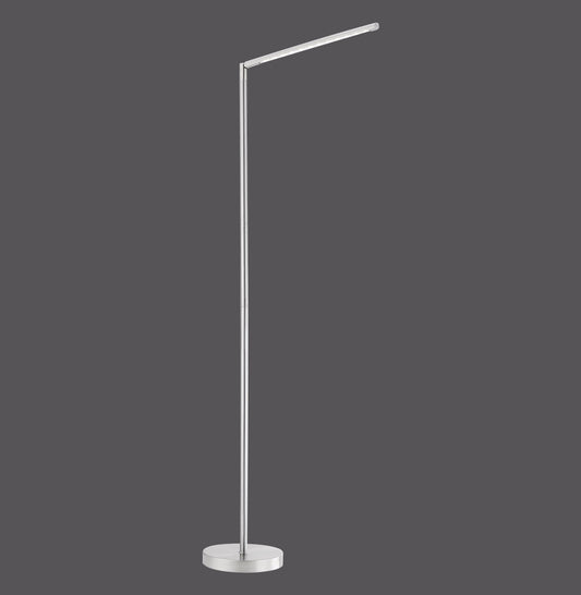 Dawda - Floor Lamp - Steel - By Just Light - (11012-55)