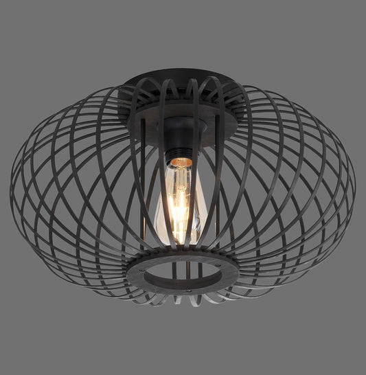 Racoon - Ceiling Light - Black - By Just Light - (11410-18)