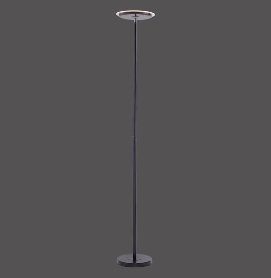 Hans - Floor Lamp - Black - By Just Light - (11729-18)