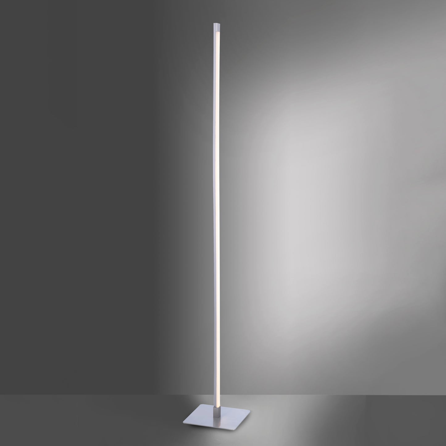 Bella - Floor Lamp - Steel - By Just Light - (11785-55)