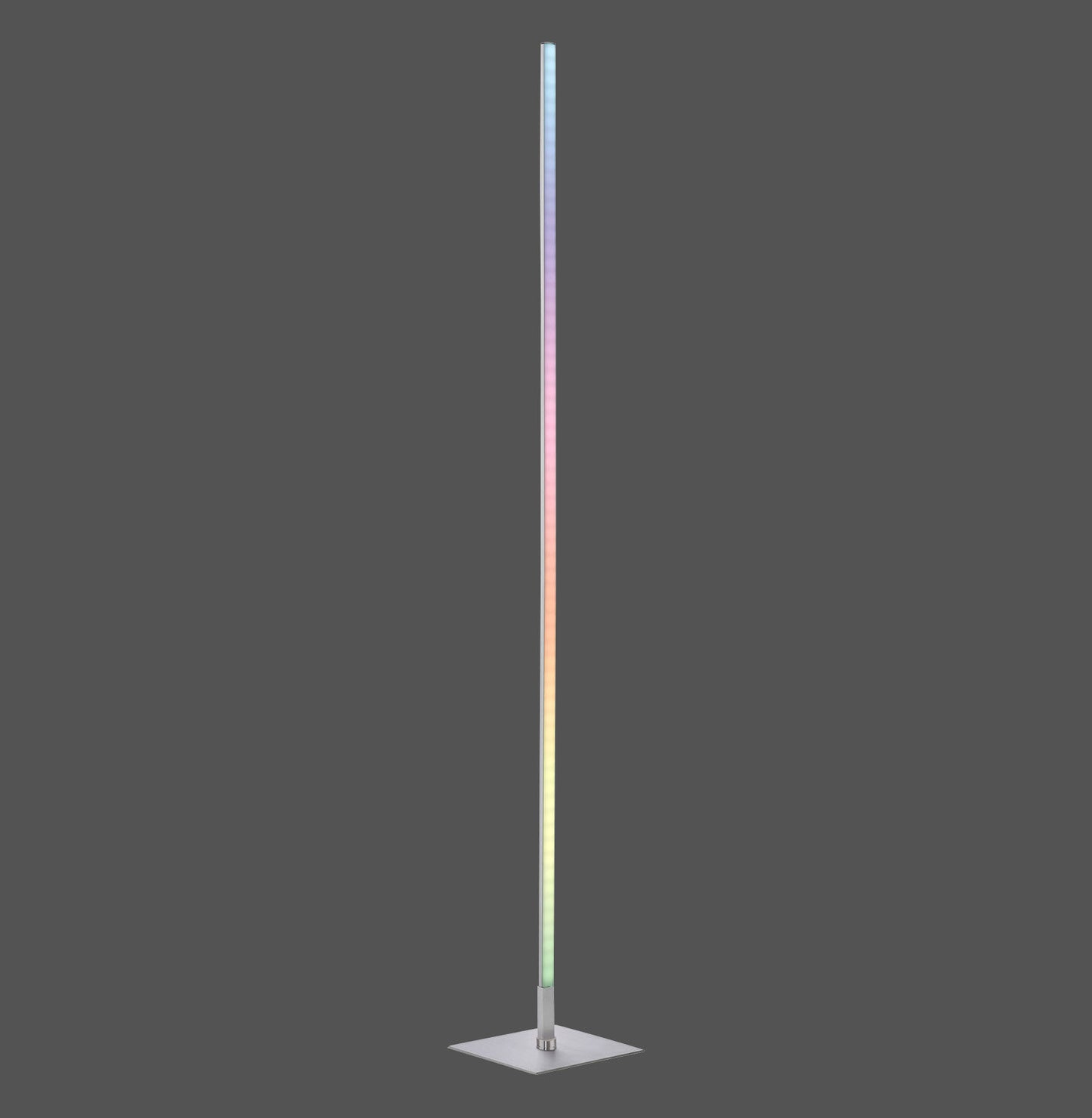 Henry - Floor Lamp - Steel - By Just Light - (11788-55)