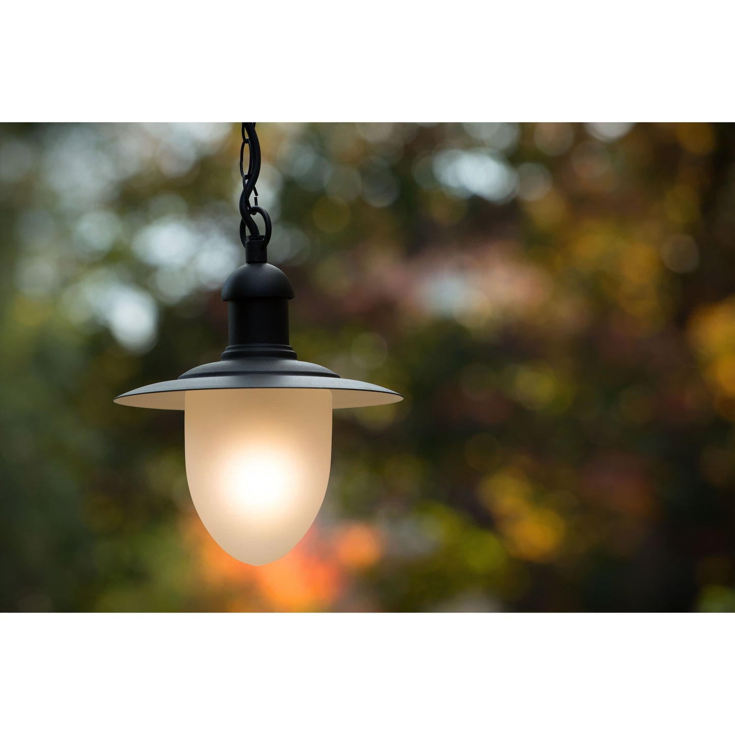 Lucide ARUBA - Pendant light Indoor/Outdoor - Ø 25 cm - 1xE27 - IP44 - Black