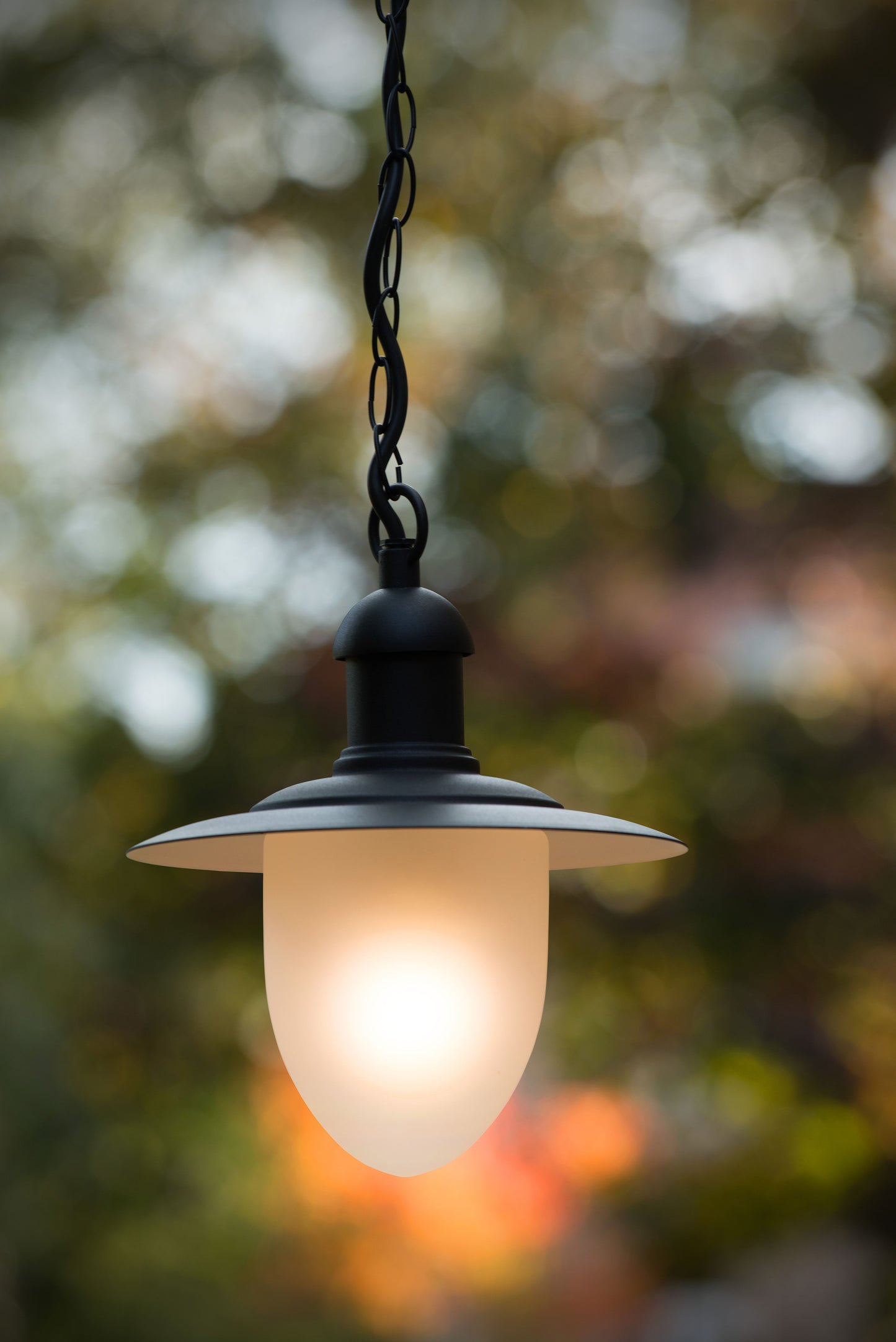 Lucide ARUBA - Pendant light Indoor/Outdoor - Ø 25 cm - 1xE27 - IP44 - Black