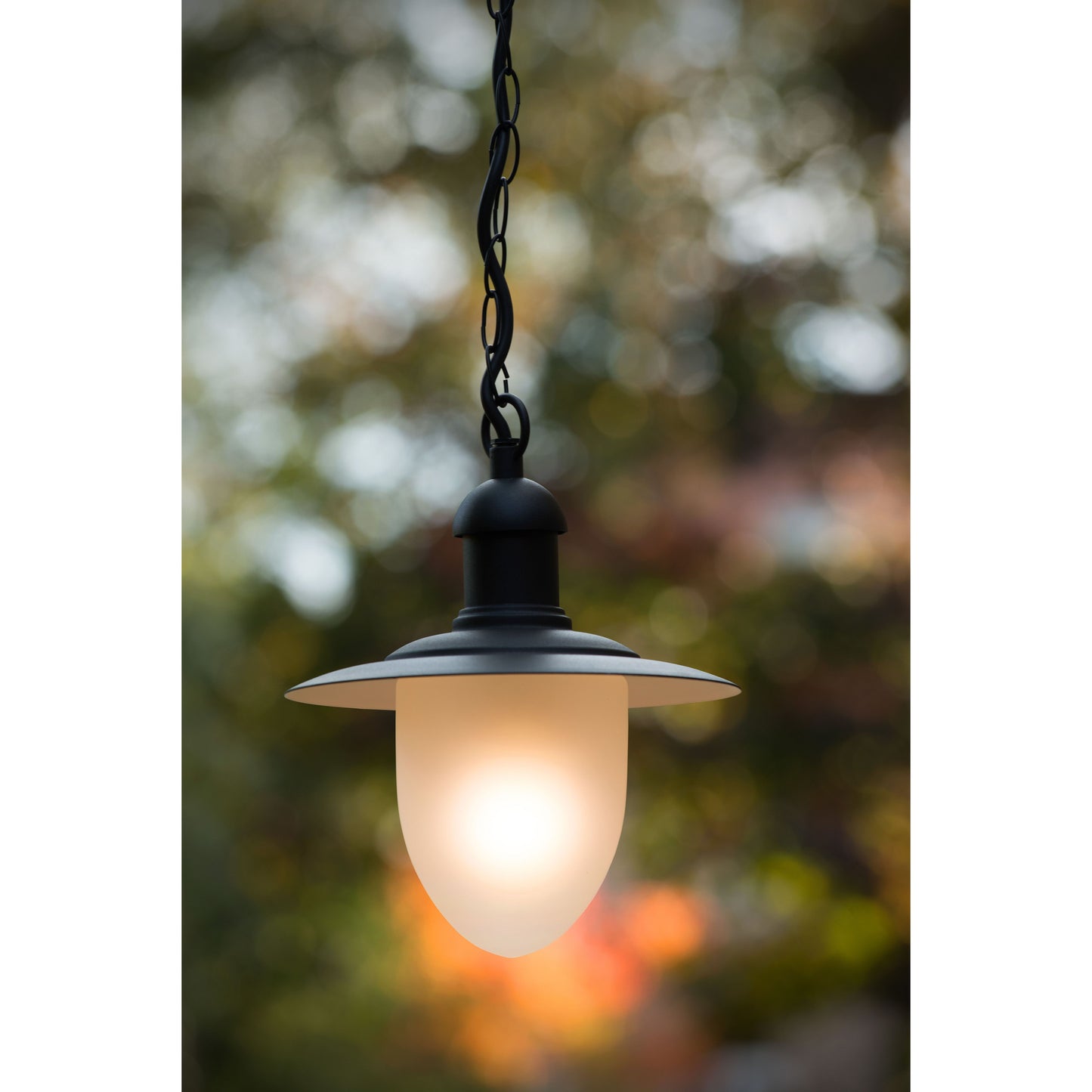 Lucide ARUBA - Pendant light Indoor/Outdoor - Ø 25 cm - 1xE27 - IP44 - Black