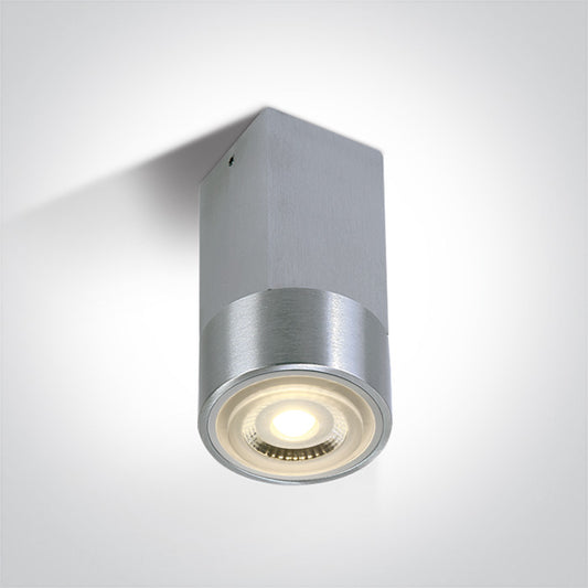 The GU10 & G9 Ceiling Lights