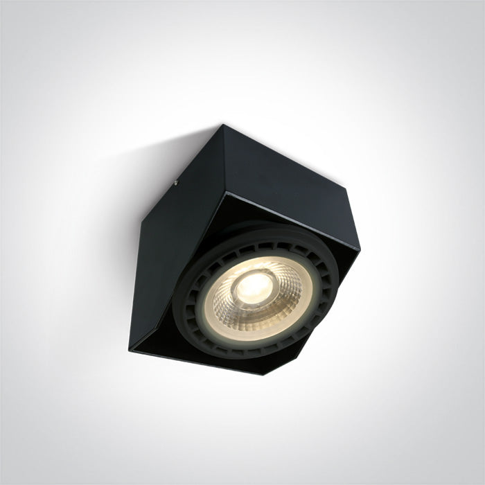 Adjustable Ceiling Lights