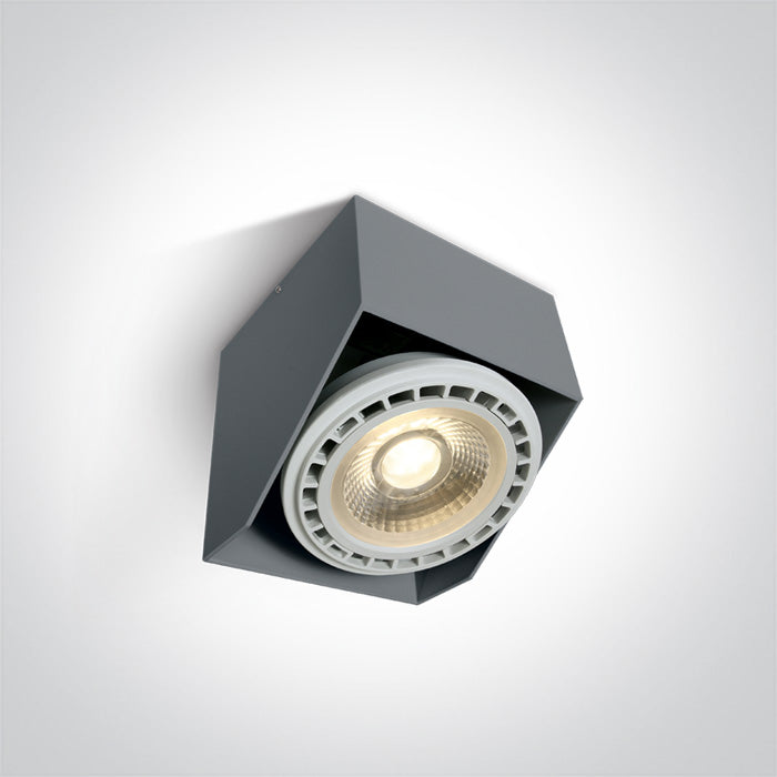 Adjustable Ceiling Lights