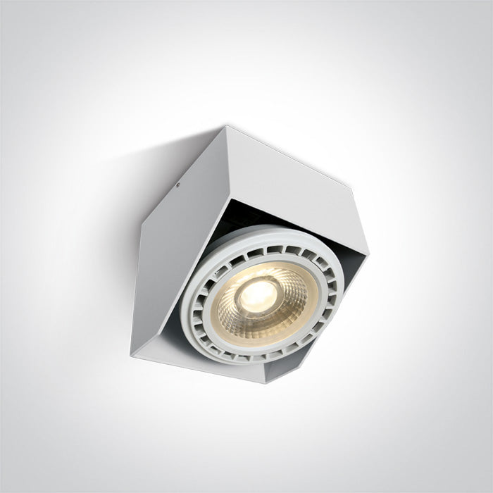 Adjustable Ceiling Lights