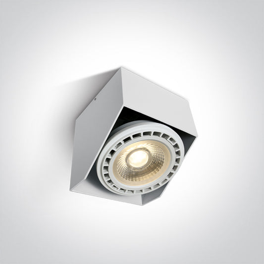 Adjustable Ceiling Lights