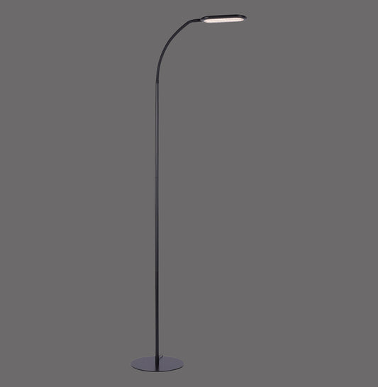 Kelly - Floor Lamp - Black - By Just Light - (14406-18)