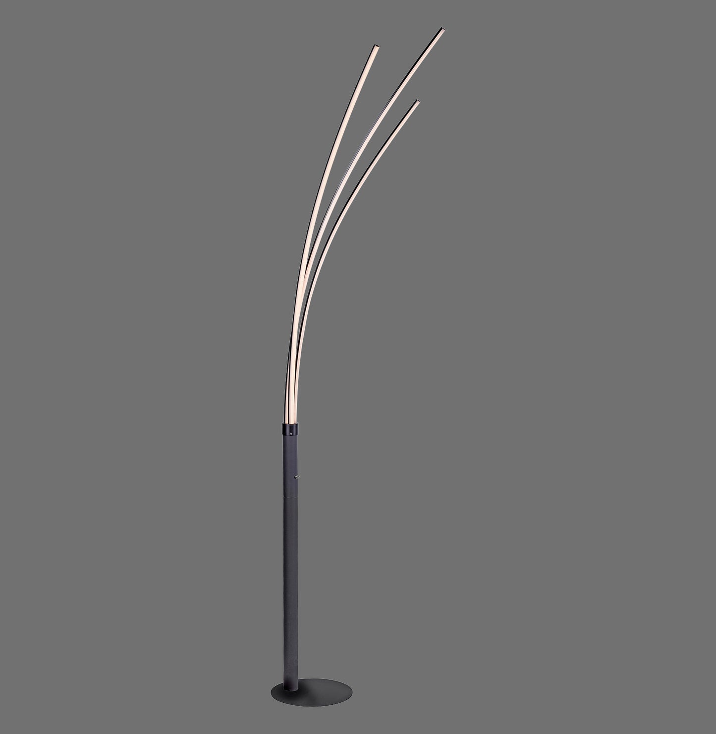 Maja - Floor Lamp - Black - By Just Light - (15383-18)