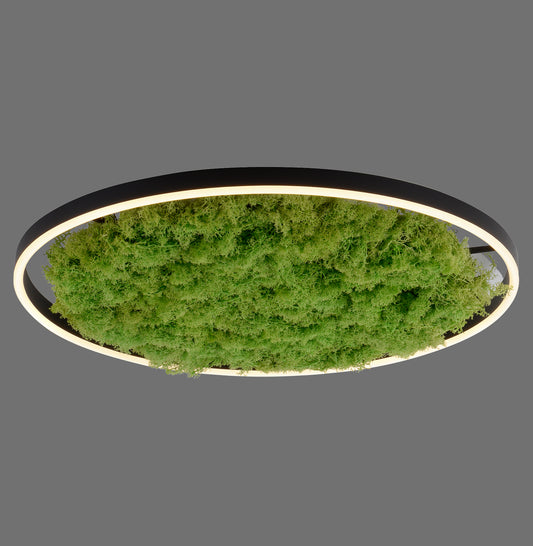 Green Ritus - Ceiling Light - Moss - By Just Light - (15392-66)