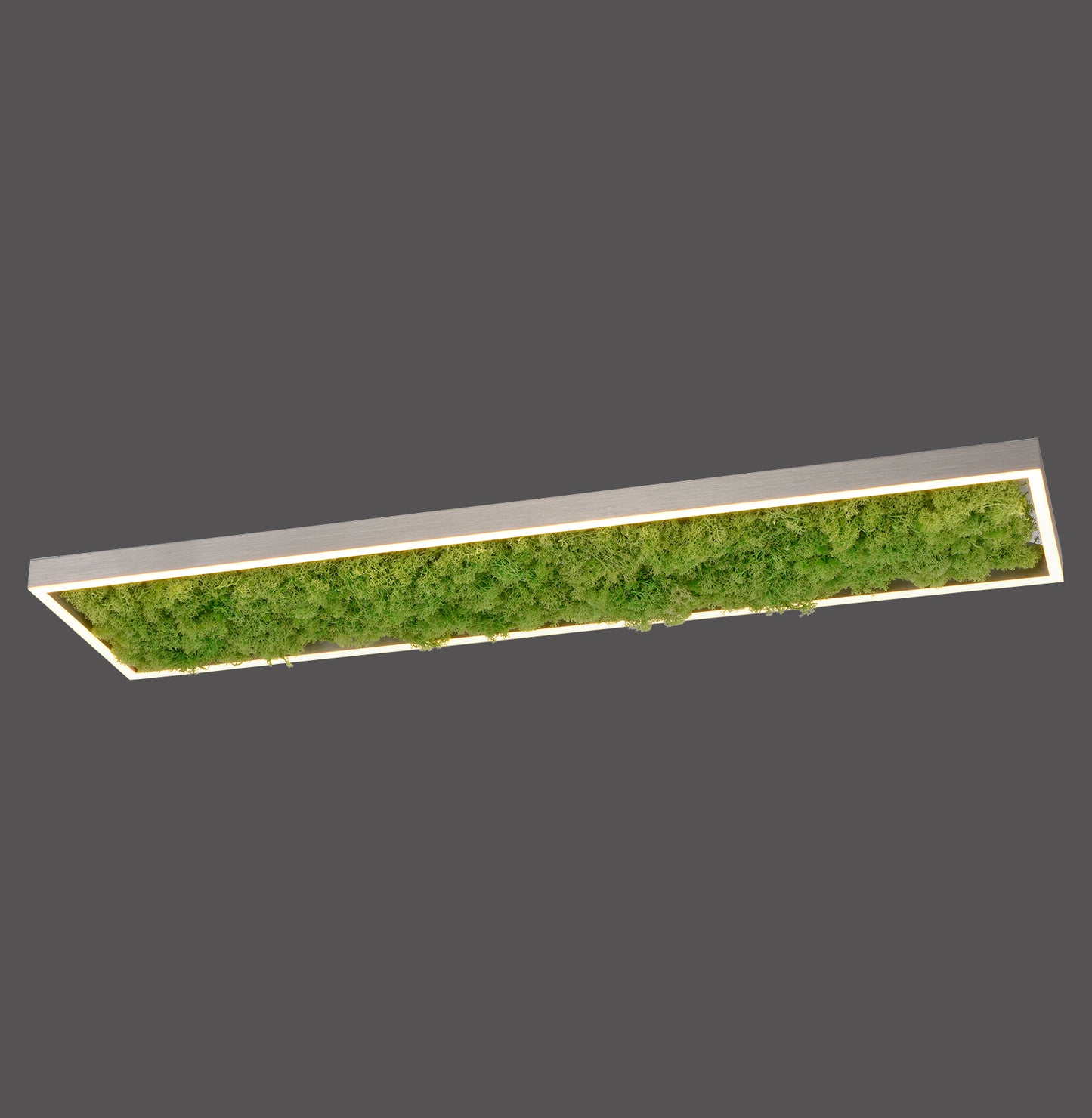 Green Knut - Ceiling Light - Moss - By Just Light - (15623-66) - SPECIAL OFFER