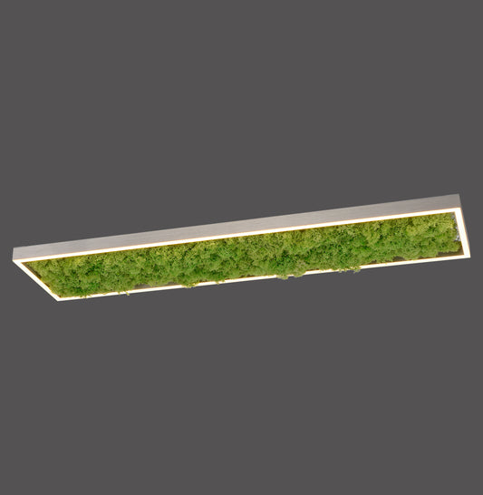 Green Knut - Ceiling Light - Moss - By Just Light - (15623-66)