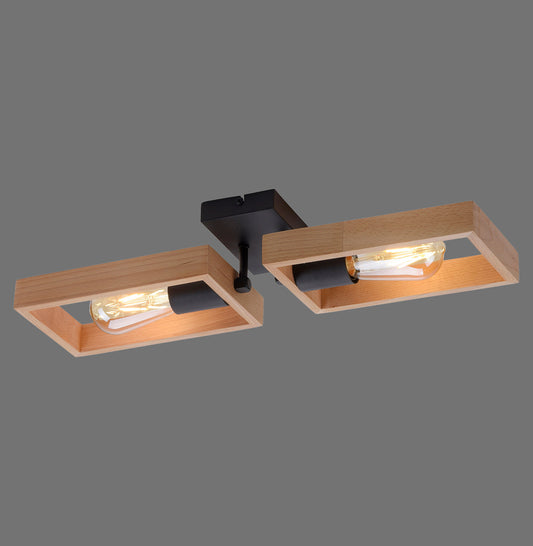 Franky - Wall And Ceiling Light - Black - By Just Light - (15657-18)