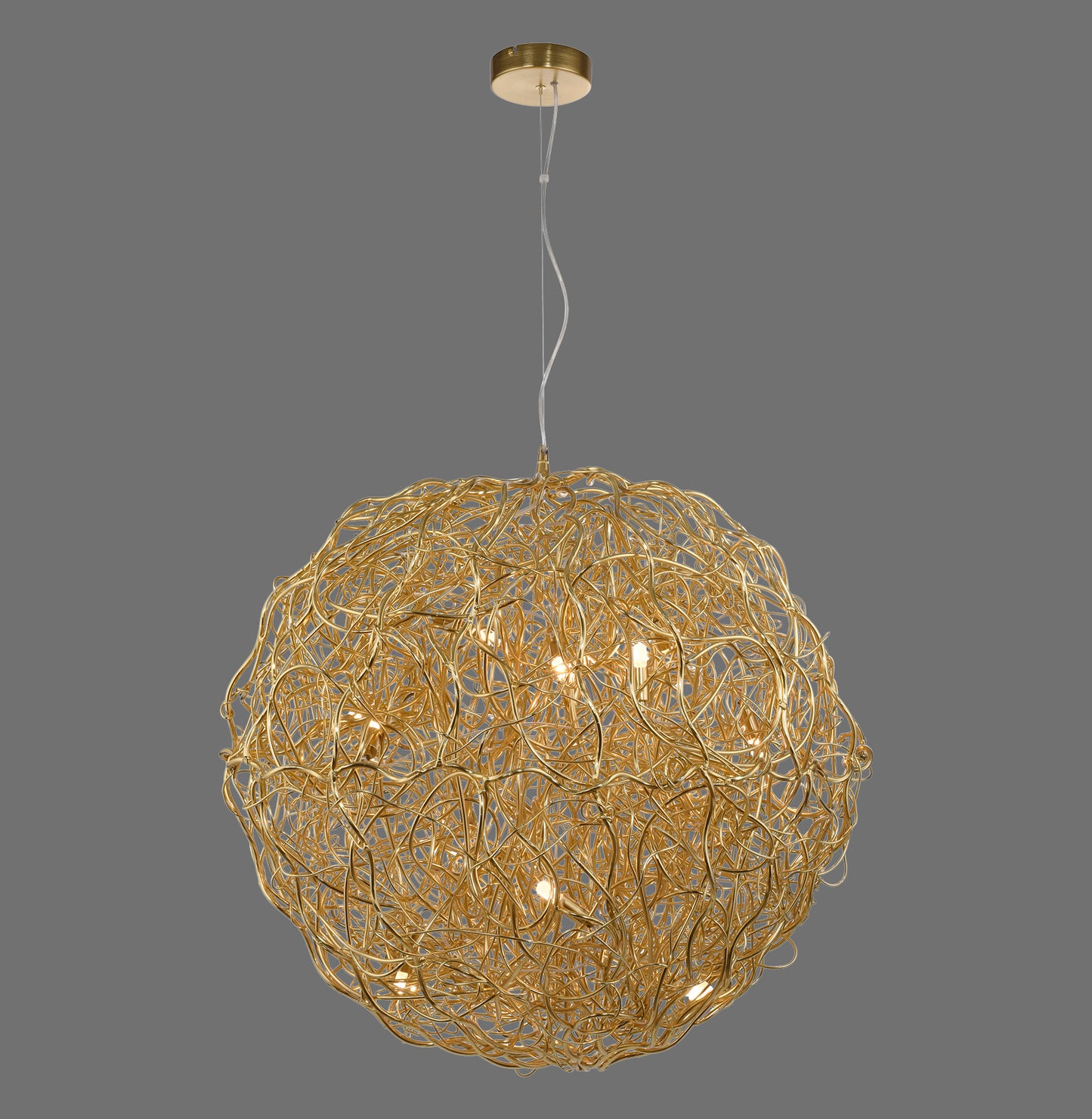 Sarea - Pendant Light - Gold - By Paul Neuhaus - (2019-12)