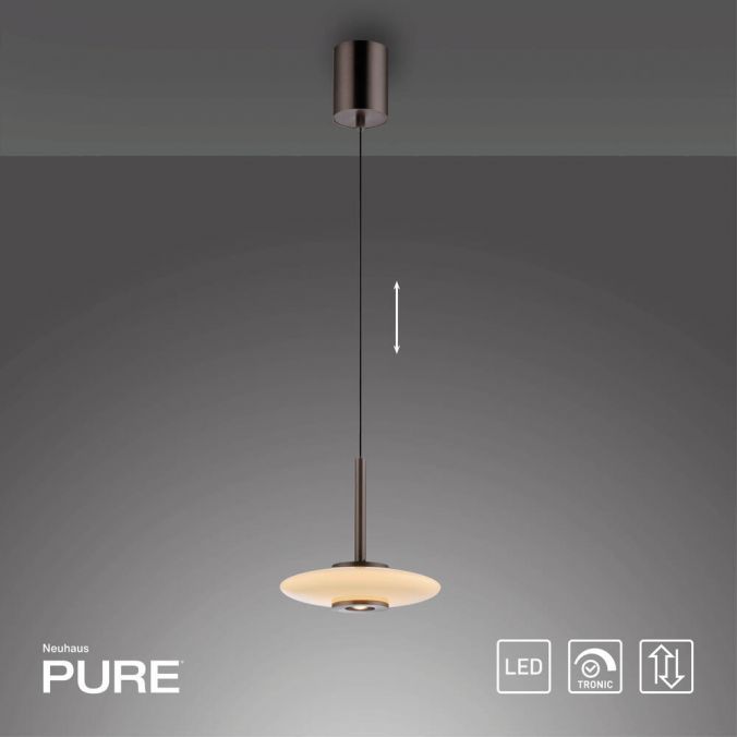 PURE Vitrum Pendant Light - Dark Brown Metal - Height Adjustable - Paul Neuhaus - (2053-34)