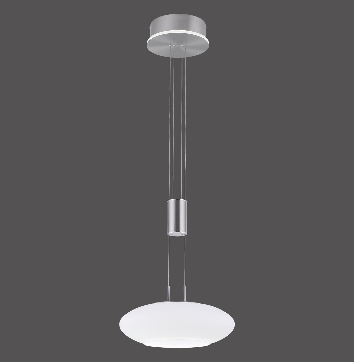 Q-Etienne - Pendant Light - Steel - By Paul Neuhaus - (2075-55)