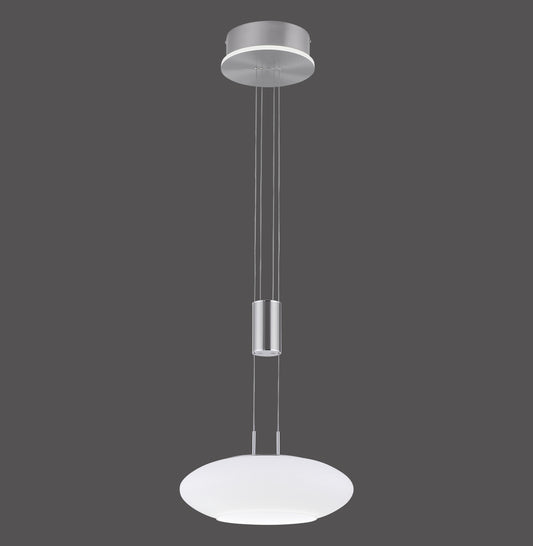 Q-Etienne - Pendant Light - Steel - By Paul Neuhaus - (2075-55)