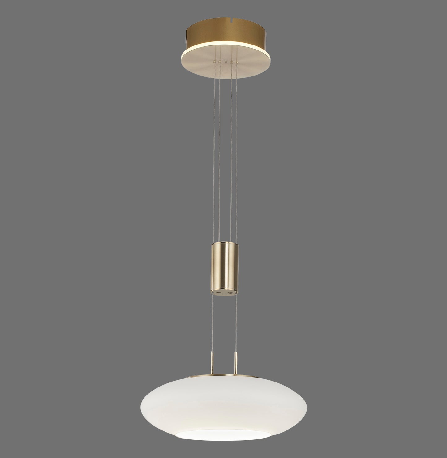 Q-Etienne - Pendant Light - Brass Matt - By Paul Neuhaus - (2075-60)